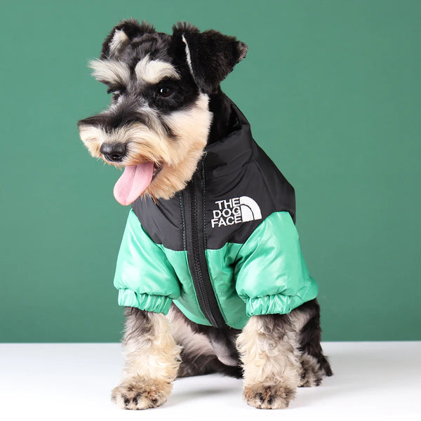 The Dog Face Green Jacket